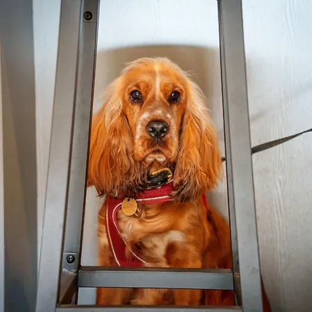 40 The Gill - Town Centre Vakantiehuis *